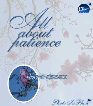 All about Patience