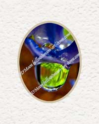 giant green raindrop from blue flower