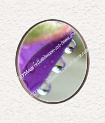 triple purple pearls