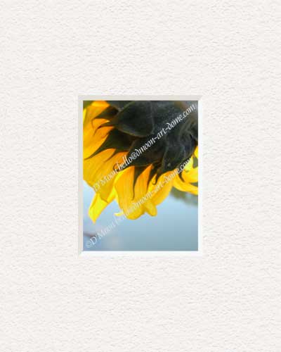 gold flower reaching to the water