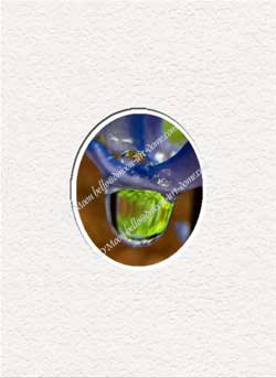 giant green raindrop from blue flower