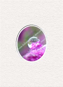 pink purple raindrops